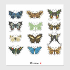 Conjunto de mariposa vintage 2 Pegatinas - Floral 