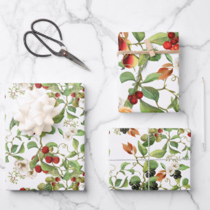 Conjunto de papel de envolvimiento de frutas y ace