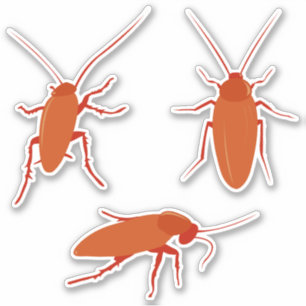 Conjunto de Pegatinas de cucarachas