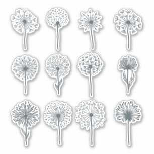 conjunto de pegatinas de dandelions