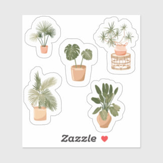 Conjunto de Pegatinas de la planta de protección -