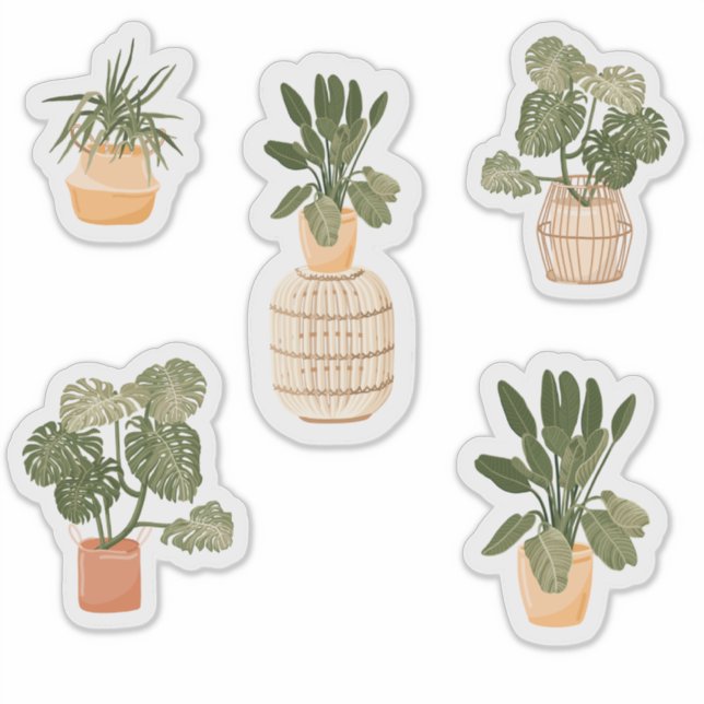 Conjunto de Pegatinas de la planta de protección - (Anverso)