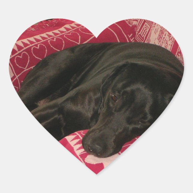 Conjunto de Pegatinas de perros con sueño (Anverso)