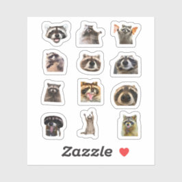 Conjunto de pegatinas divertidas de mapache meme