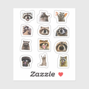 Conjunto de pegatinas divertidas de mapache meme