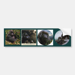 Conjunto de pegatinas múltiples VII PRIMATE