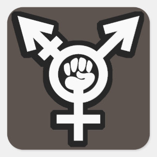 Conjunto de Pegatinas transgénero