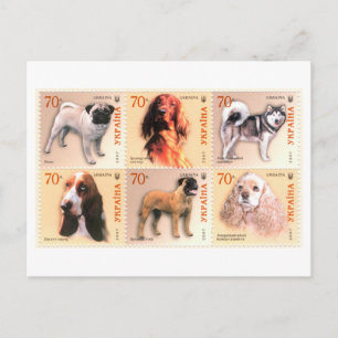 Conjunto de sellos postales de perros vintage de U