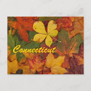Connecticut El otoño deja la postal