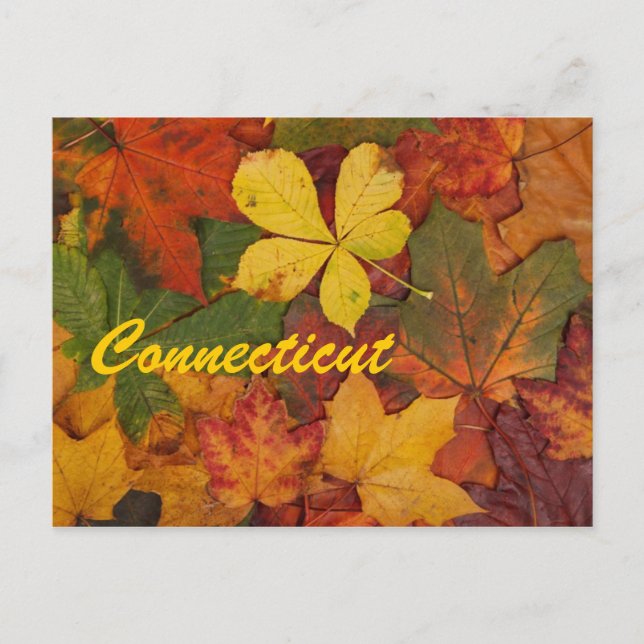 Connecticut El otoño deja la postal (Anverso)