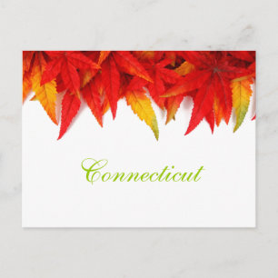 Connecticut El otoño deja la postal