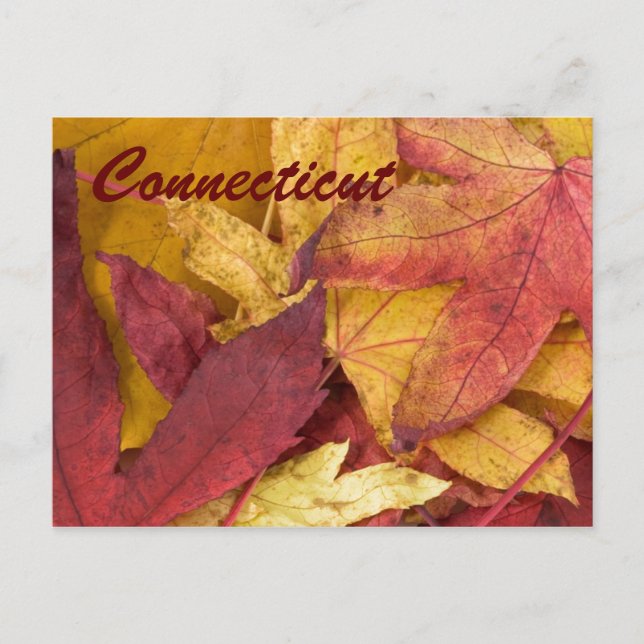 Connecticut El otoño deja la postal (Anverso)
