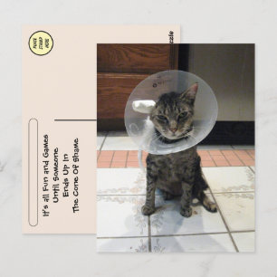 Cono de la Vergüenza de Postcrossing - Tarjeta Pos