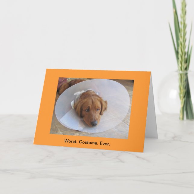 Cono de tarjetas de felicitación de Golden Retriev (Anverso)