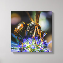 Conoce las Abejas 12" x 12", 1.5", Lienzo Envuelto