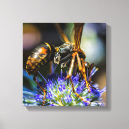 Conoce las Abejas 12" x 12", 1.5", Lienzo Envuelto