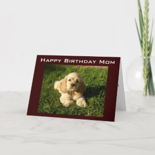 CONSEJO DE CUMPLEAÑOS DE LA MADRE PARA LA TARJETA 