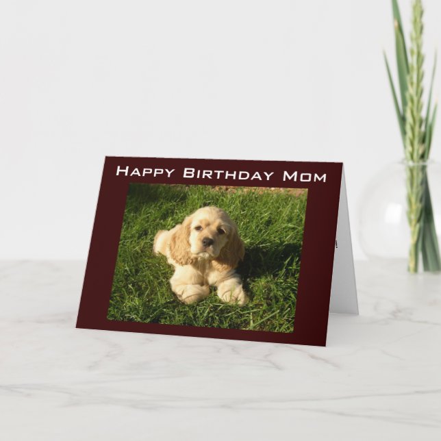 CONSEJO DE CUMPLEAÑOS DE LA MADRE PARA LA TARJETA  (Anverso)
