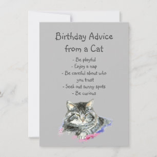Consejo de cumpleaños de un gato divertido humor a