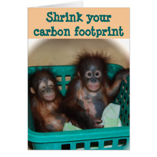 Consejo de Huella de Carbono