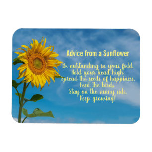 Consejo de un imán de diseño de girasol