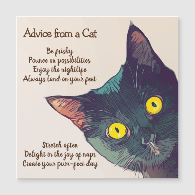 Consejo de una tarjeta magnética del gato (Anverso)