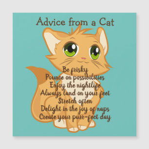 Consejo de una tarjeta magnética del gato