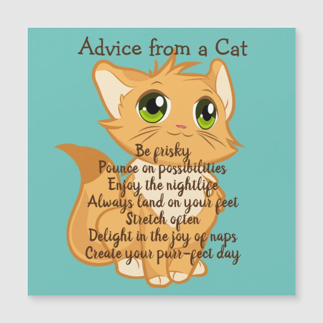 Consejo de una tarjeta magnética del gato (Anverso)