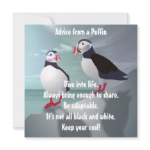 Consejo de una tarjeta plana de diseño de Puffin