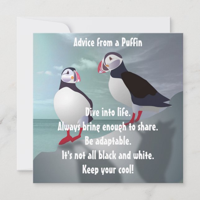 Consejo de una tarjeta plana de diseño de Puffin (Anverso)