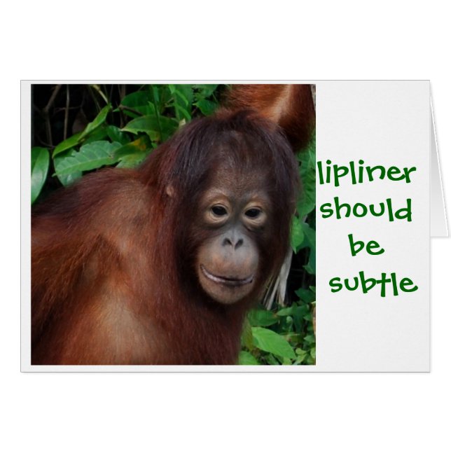 Consejos de belleza de lápiz labial Chica de la ju (Anverso (Horizontal))