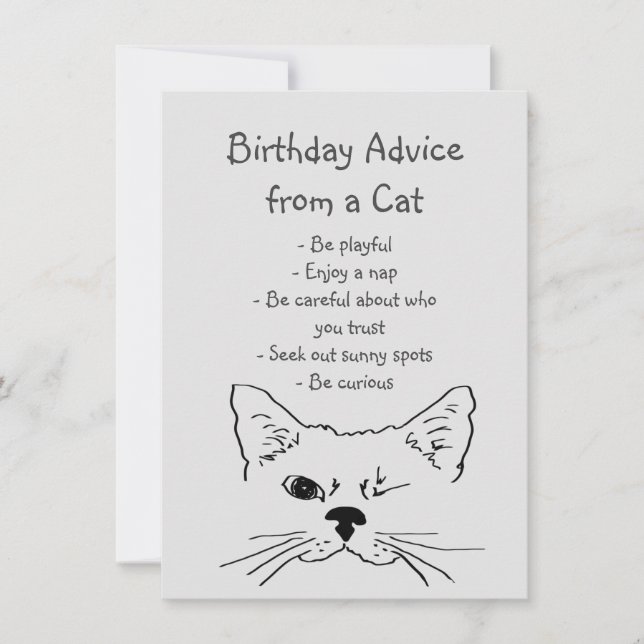 Consejos de cumpleaños del humor animal del gato d (Anverso)