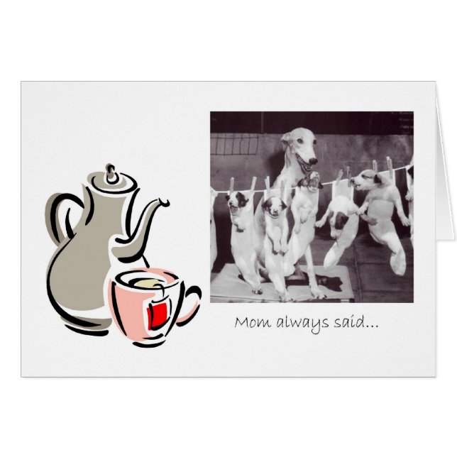 Consejos de té de una madre griega (Anverso (Horizontal))