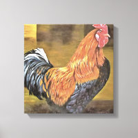 Conservación del arte de gallos de corral de pollo