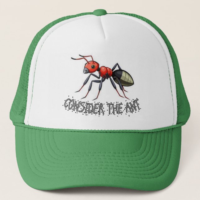 Considera el sombrero de hormiga (Anverso)