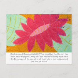 Considere la postal de Lilies D&C