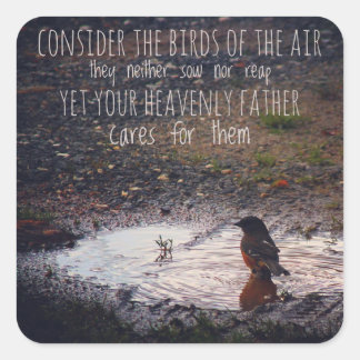 Consideremos a los pájaros de los Pegatinas del ai