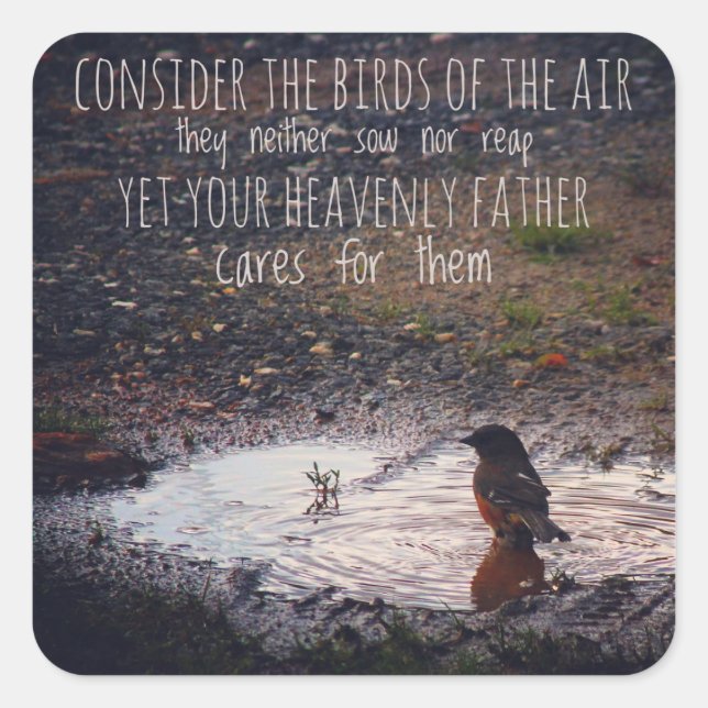 Consideremos a los pájaros de los Pegatinas del ai (Anverso)