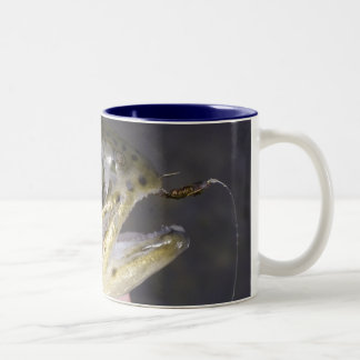 Consiga enganchado en la pesca con mosca - taza de