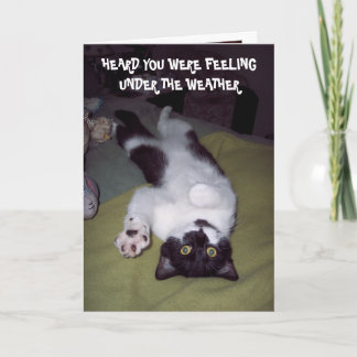 CONSIGA LA TARJETA BIEN