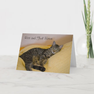Consiga la tarjeta bien 2 del gato