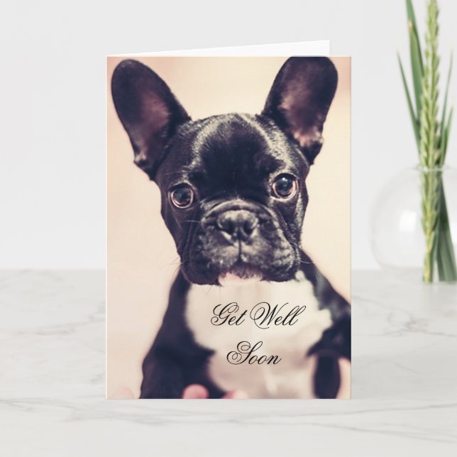 Consiga la tarjeta de felicitación bien del perro (Anverso)