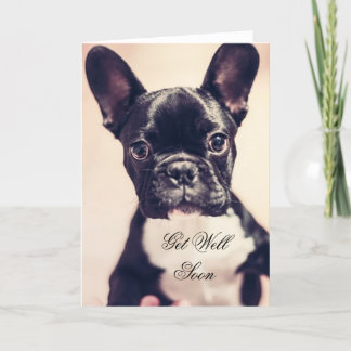Consiga la tarjeta de felicitación bien del perro