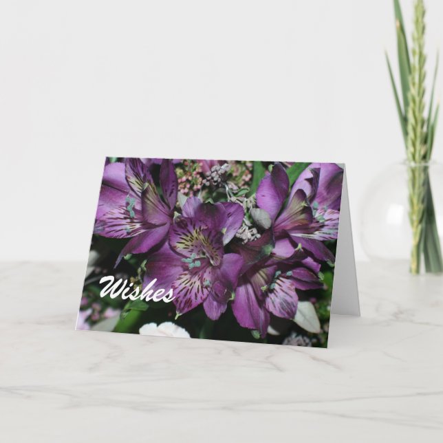 CONSIGA LAS TARJETAS DE FELICITACIÓN BIEN DE LOS (Anverso)