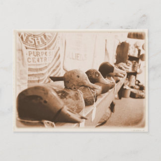 Consigue tus patos en una fila - postal