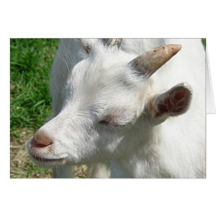 Consígueme algunas sombras