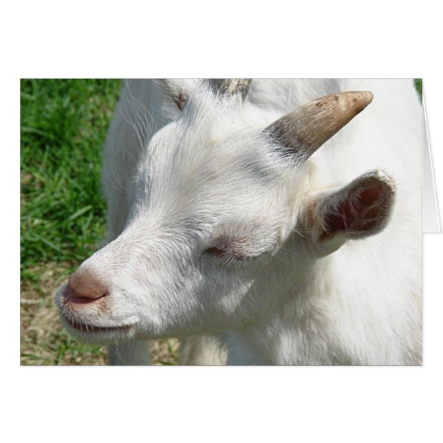 Consígueme algunas sombras (Anverso (Horizontal))