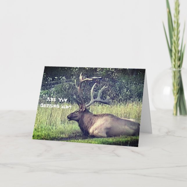 "Consiguiendo" la tarjeta de cumpleaños vieja (Anverso)