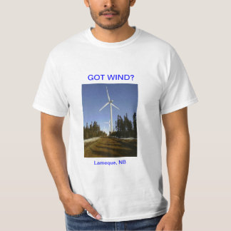 "Consiguió el viento?" Camiseta