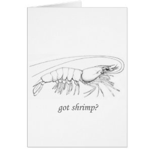 "consiguió logotipo del camarón"